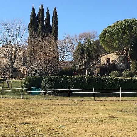 Podere Conte Racani Amelia Dış mekan fotoğraf