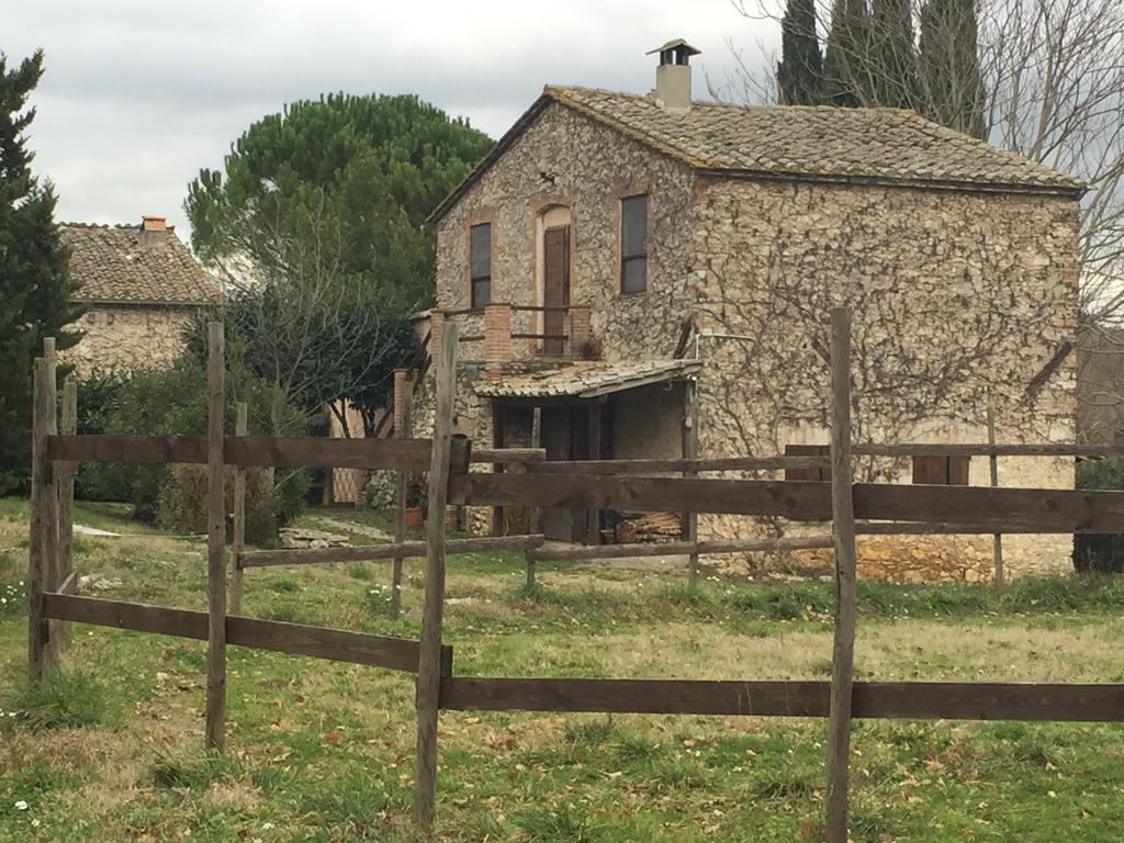 Podere Conte Racani Amelia Dış mekan fotoğraf