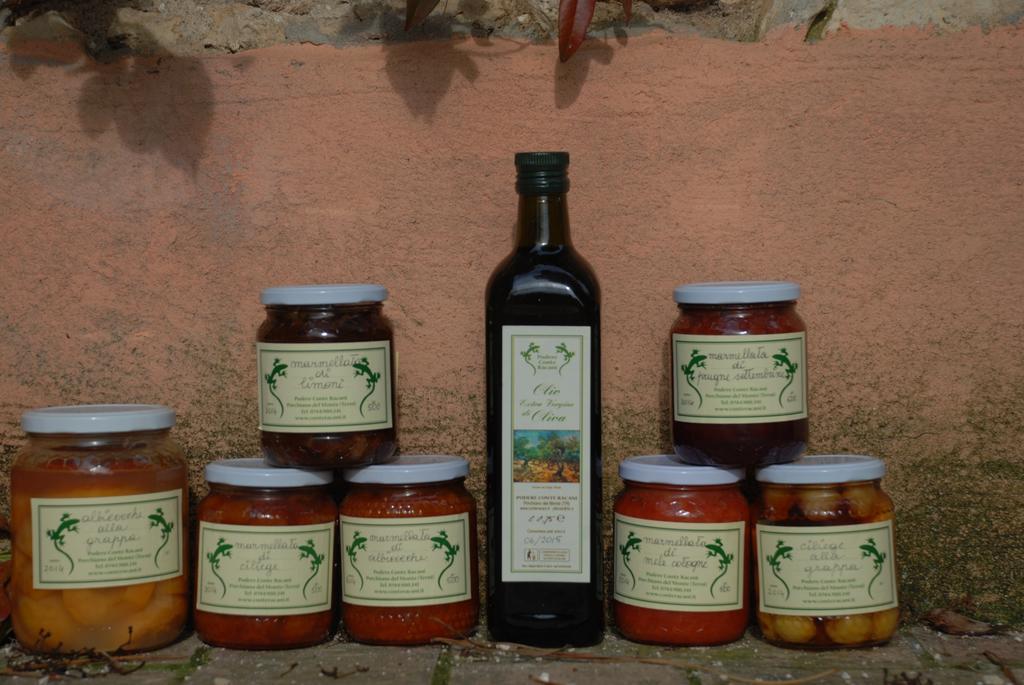 Podere Conte Racani Amelia Dış mekan fotoğraf