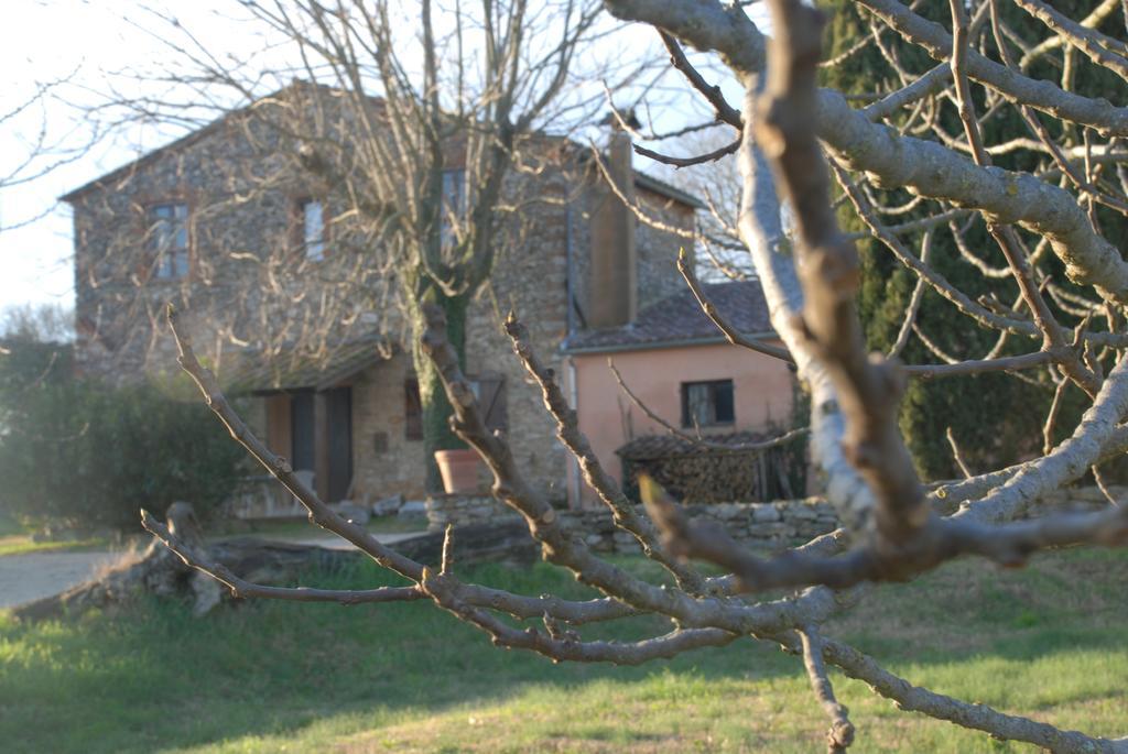 Podere Conte Racani Amelia Dış mekan fotoğraf