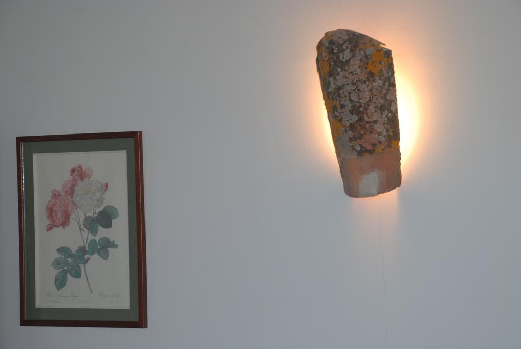 Podere Conte Racani Amelia Oda fotoğraf