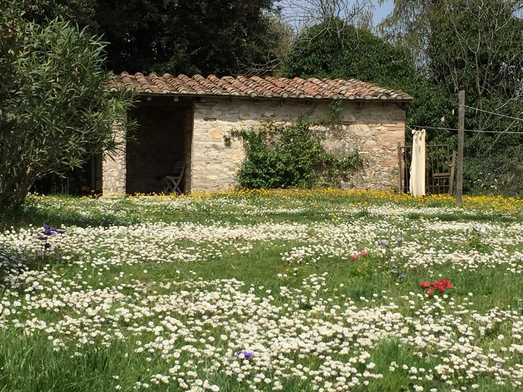 Podere Conte Racani Amelia Dış mekan fotoğraf