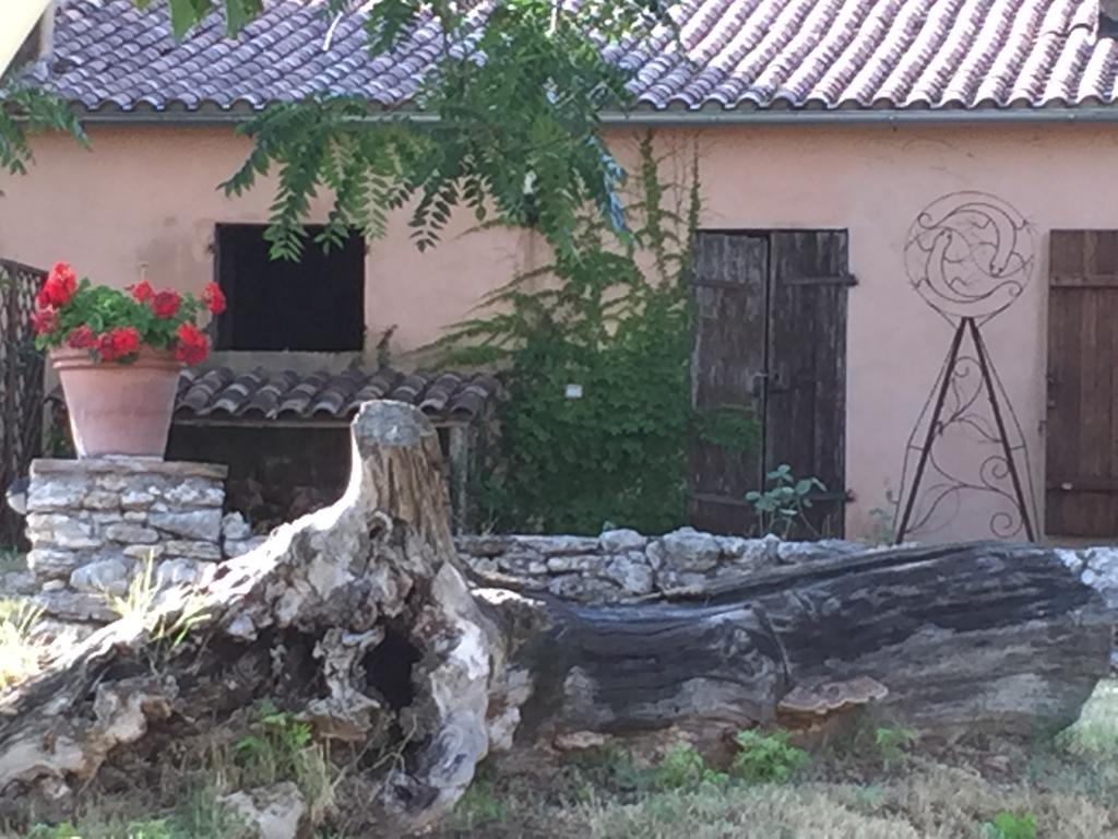 Podere Conte Racani Amelia Dış mekan fotoğraf