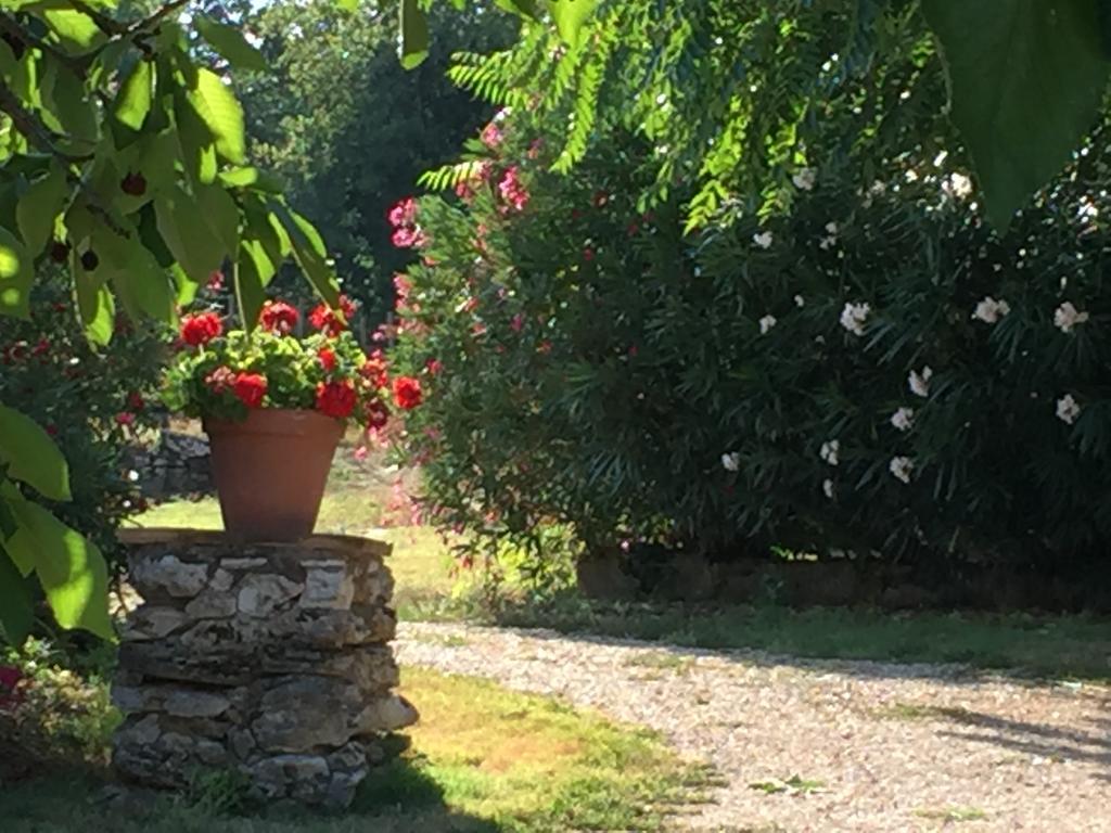 Podere Conte Racani Amelia Dış mekan fotoğraf