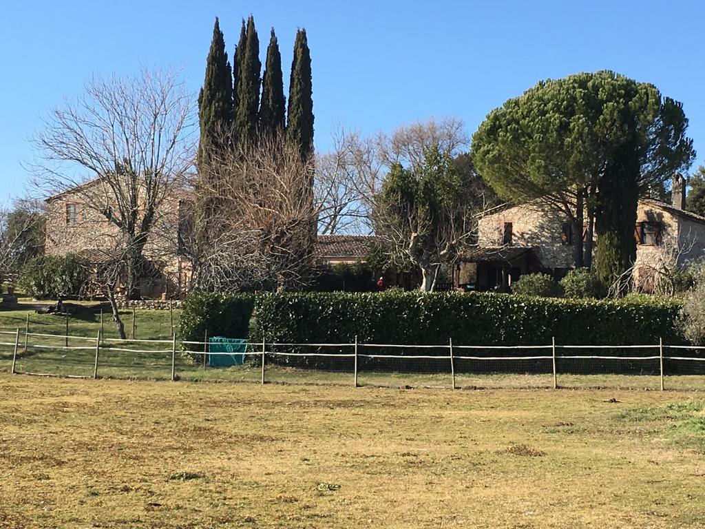 Podere Conte Racani Amelia Dış mekan fotoğraf
