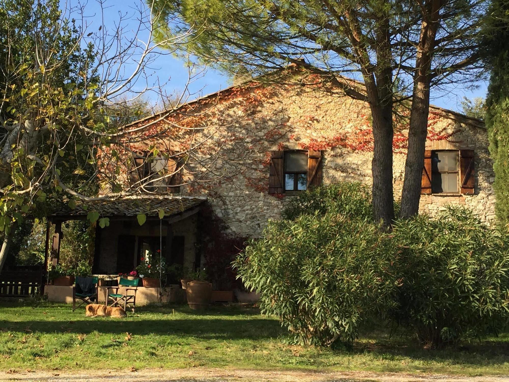 Podere Conte Racani Amelia Dış mekan fotoğraf
