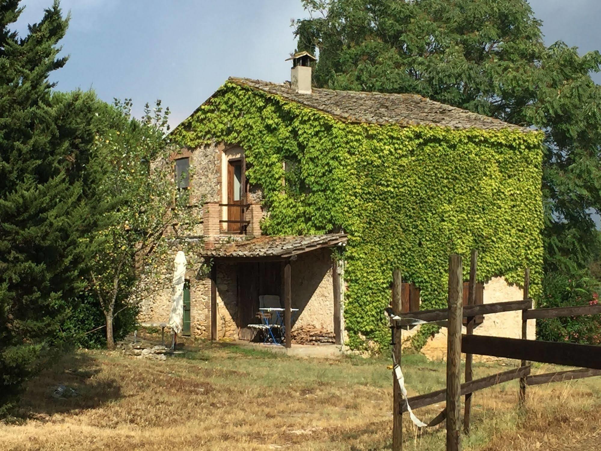 Podere Conte Racani Amelia Dış mekan fotoğraf