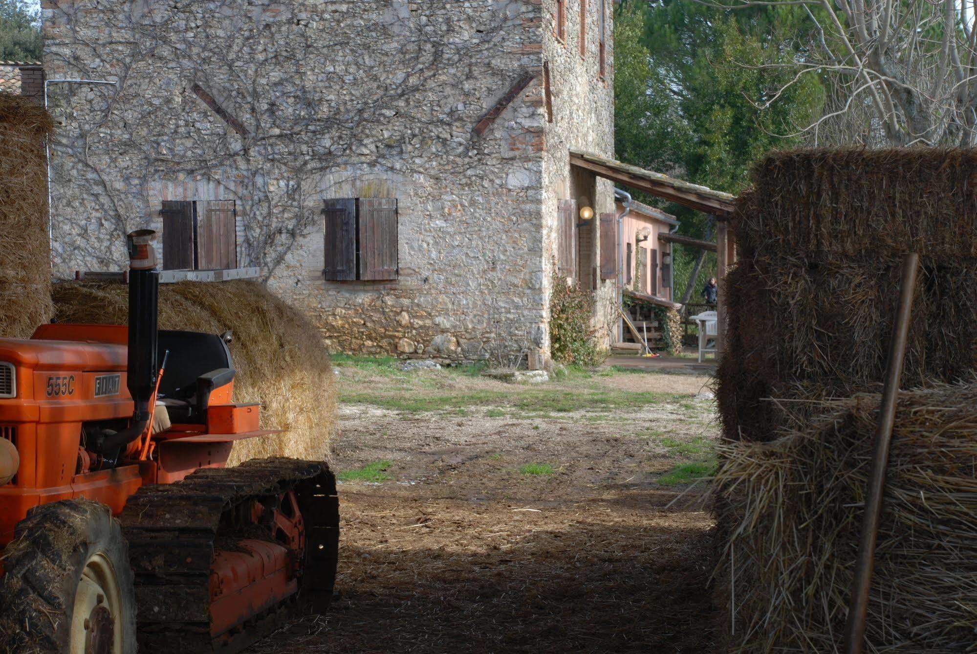 Podere Conte Racani Amelia Dış mekan fotoğraf