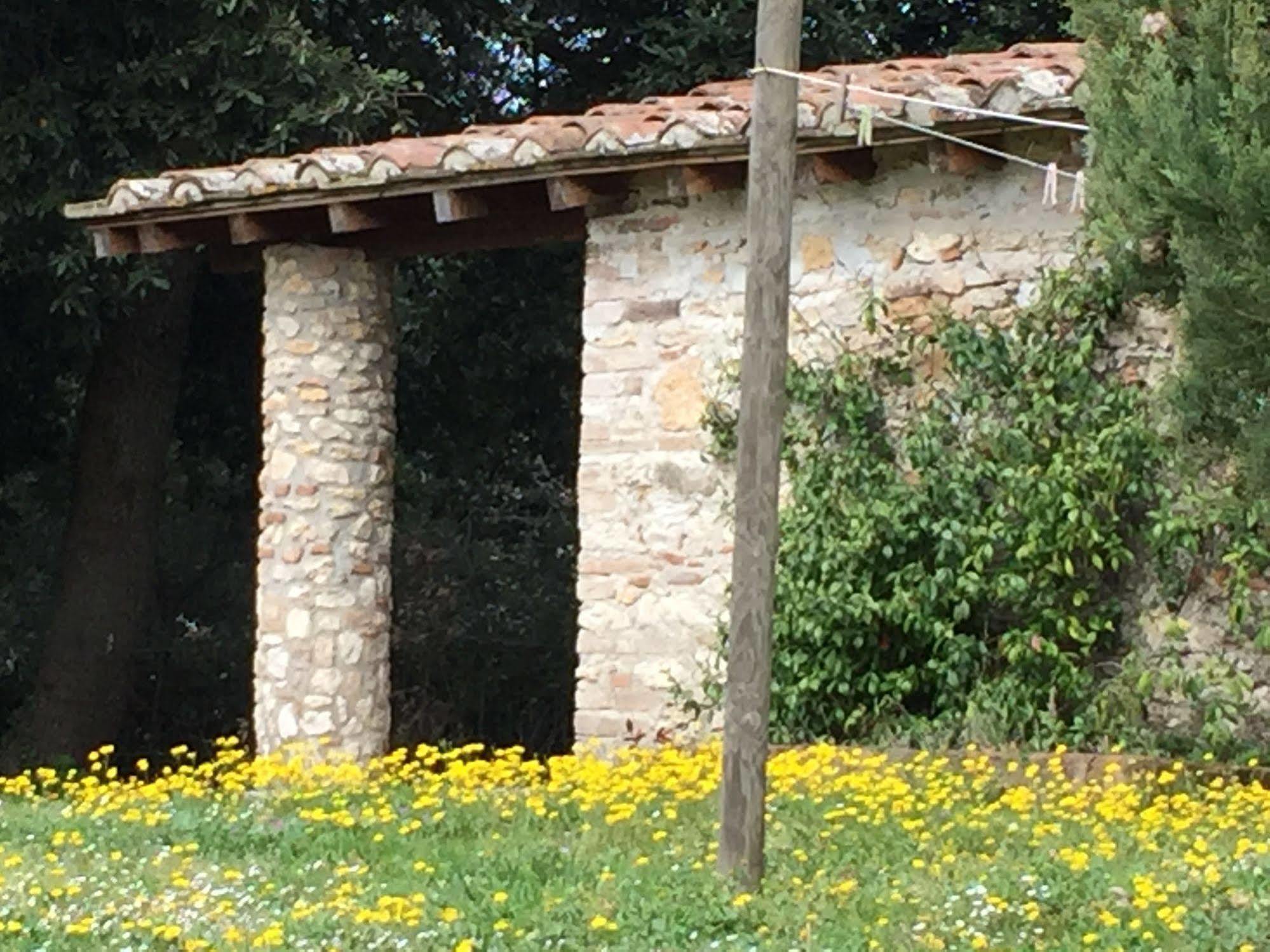 Podere Conte Racani Amelia Dış mekan fotoğraf