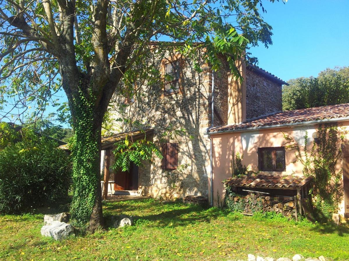 Podere Conte Racani Amelia Oda fotoğraf